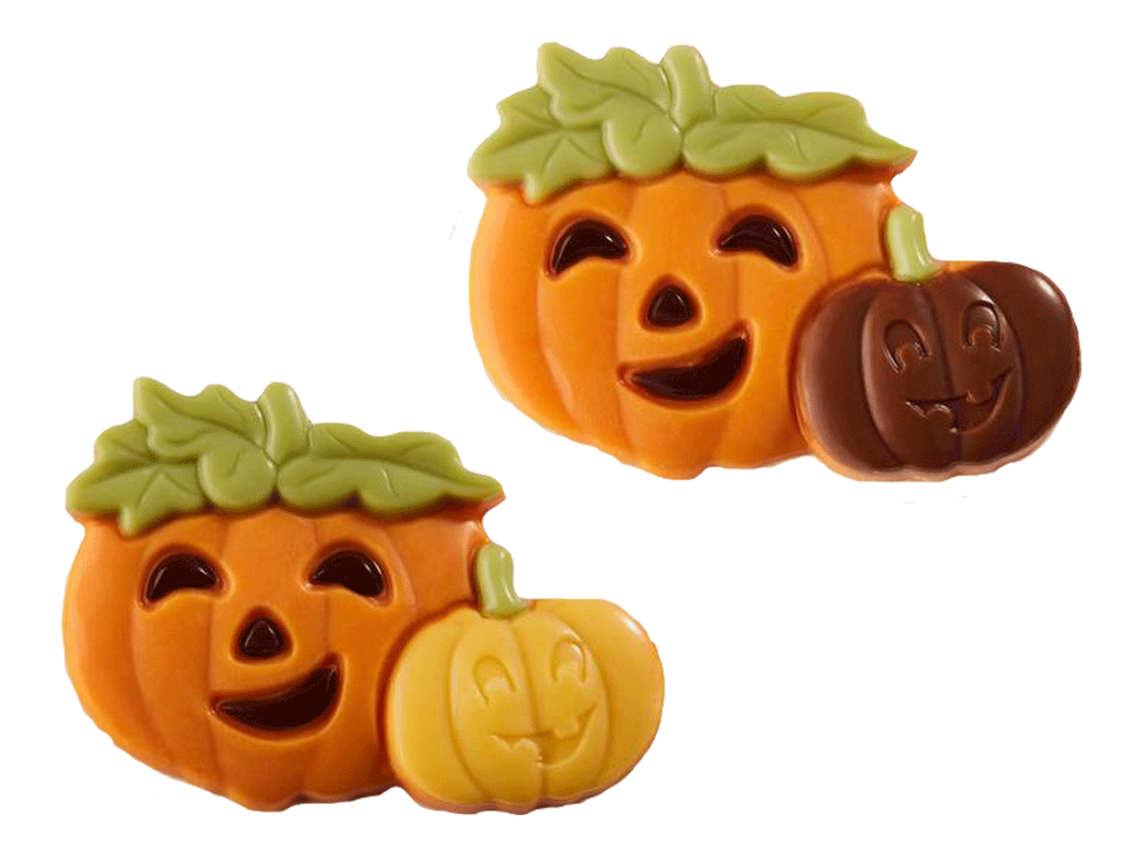Happy pompoen oranje assortie 1,28kg